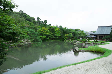 Arrayのeditorial素材