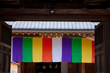 Arrayのeditorial素材