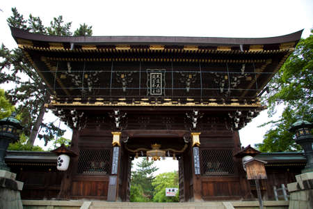 Arrayのeditorial素材