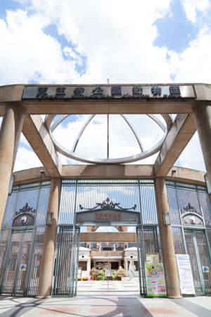 Arrayのeditorial素材