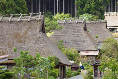 Arrayのeditorial素材