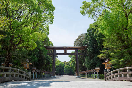 Arrayのeditorial素材