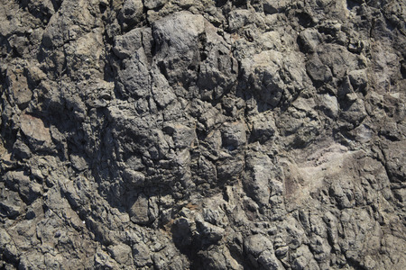 Bare rock