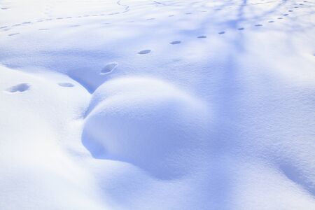 Snow art