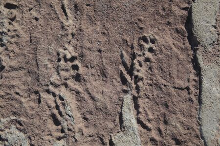 Bare rockの写真素材