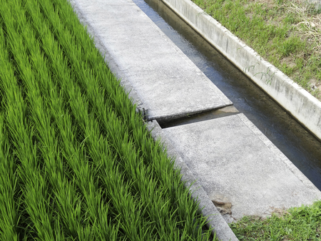 Improvement has been agriculture canalの写真素材