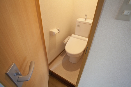 Toilet after renovationの写真素材