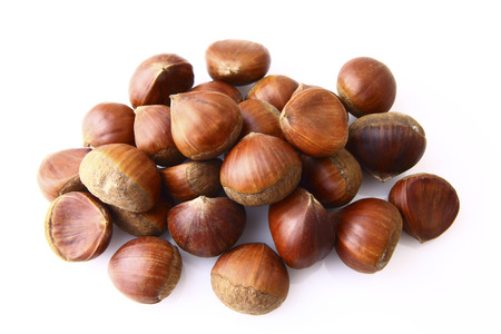 Chestnutの写真素材