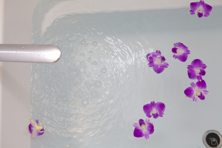 Orchid floating in the bathtubの写真素材