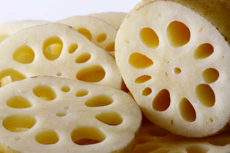 Lotus rootの写真素材