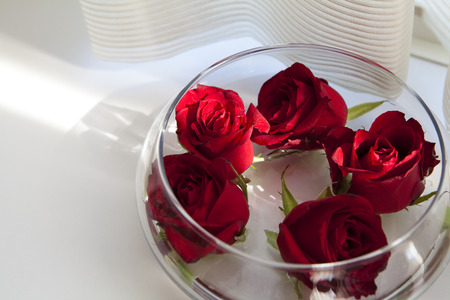 Rose flowersの写真素材