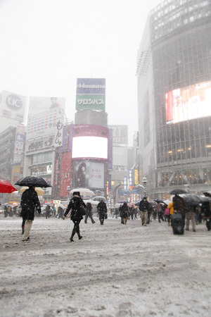 It's snowing Shibuya scramble crossingのeditorial素材