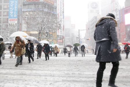 It's snowing Shibuya scramble crossingのeditorial素材