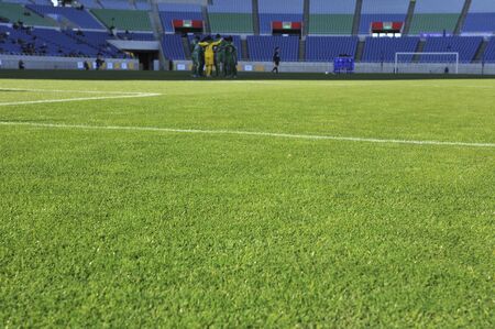 Shibaのeditorial素材