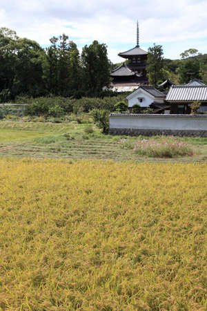 Autumn Horinjiの写真素材
