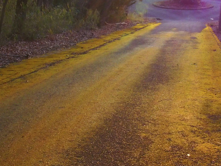 Road setting sun and shadowの写真素材