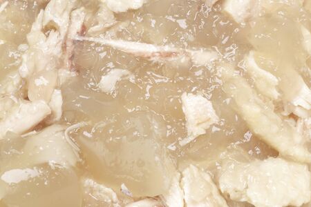 Chicken collagenの写真素材