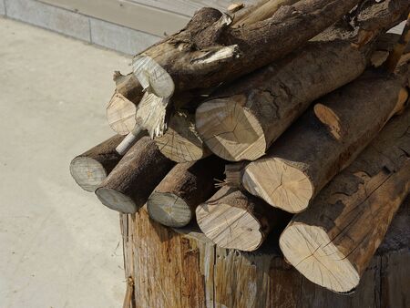 Firewood
