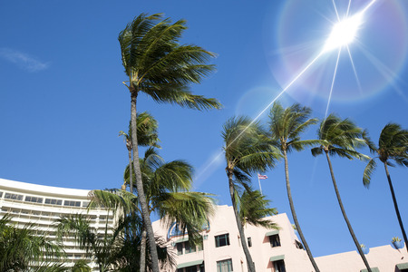 Hotels in Waikikiのeditorial素材