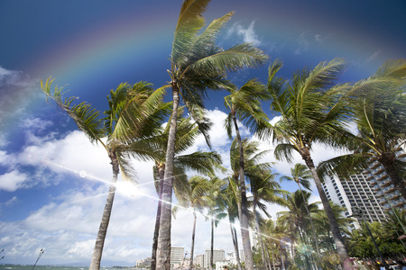 Hotels in Waikikiのeditorial素材