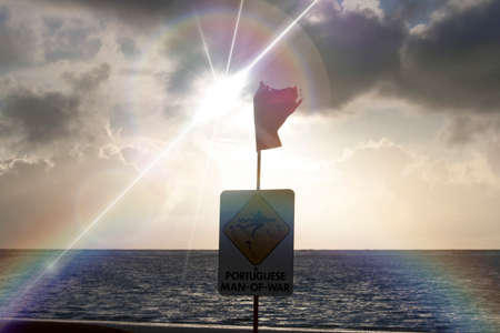 Sunset flagの写真素材