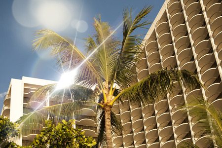 Hotels in Waikikiのeditorial素材