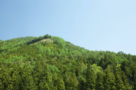 Fresh green mountainsの写真素材