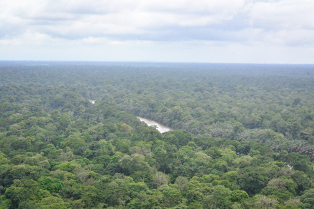 jungle landscape view from the mountainの写真素材