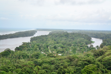 jungle landscape view from the mountainの写真素材
