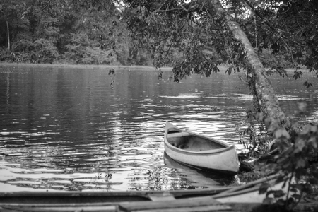 canoes to be transported in the riverの写真素材
