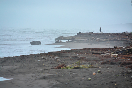 man walking on the beach with dark sandの写真素材