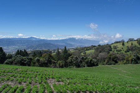 cultivation in the mountainsの写真素材
