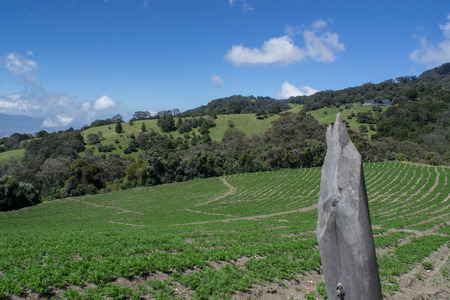cultivation in the mountainsの写真素材