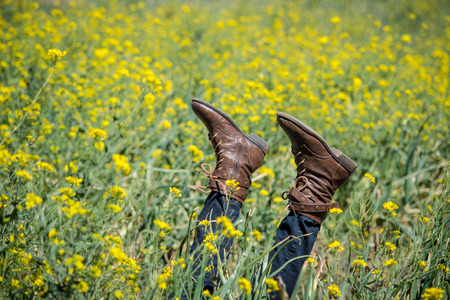 happiness in yellow flowers gardenの写真素材