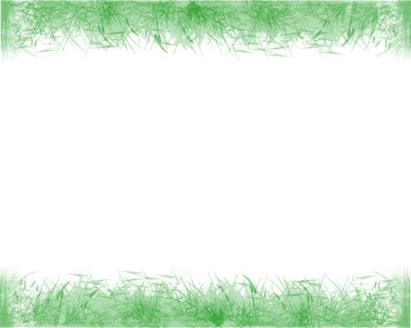 Leaves border with white backgroundの写真素材