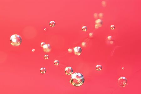 Bubble pink background