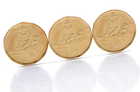 Canadian one dollar reflecting it's shadow