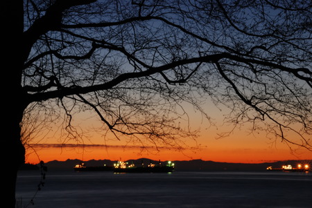 Night scene of downtown Vancouver in Stanley Parkの写真素材