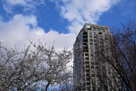 Coquitlam, BC, Canada - March 31, 2019 : High rise building and blowing tree leaf against blue cloudy skyのeditorial素材
