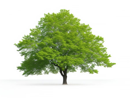 Nature's Beauty in Focus: Isolated Tree on White Background. Generative AI.の素材
