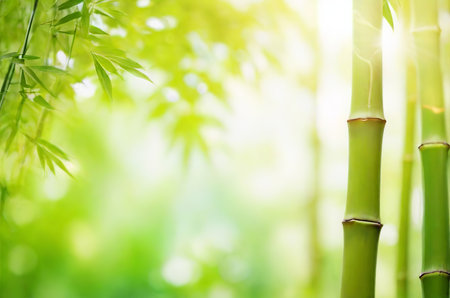 Summer Splendor: Embracing the Enchanting Beauty of Green Bamboo Leaves in Your Garden. Generative AI.の素材