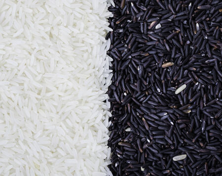 Half black and half white rice grainの写真素材