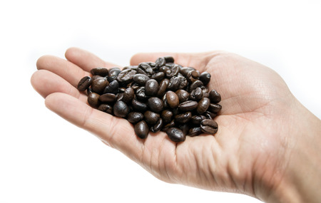 coffee beans in hand  on white background