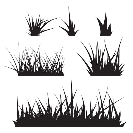 Grass Vectorのイラスト素材