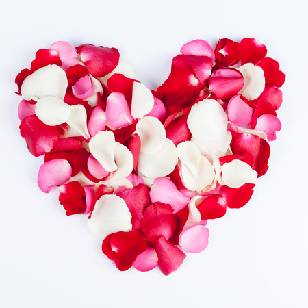 Heart made out of rose petals on whiteの写真素材