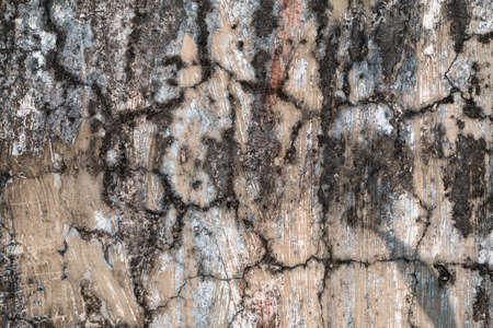 Grungy cement cracks wall texture.の写真素材