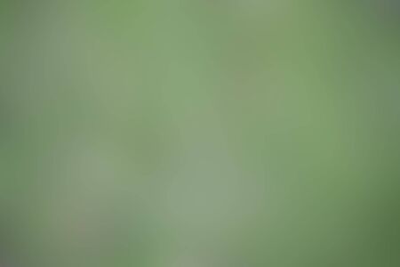 Green abstract low light background