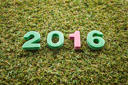 Year 2016 on artifical grass