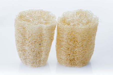 Luffa, loofa natural vegetable fiber for body scrubbing and used in skin care on a white background.