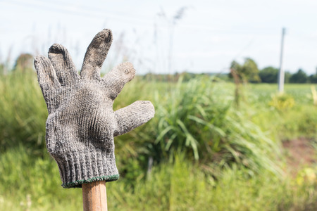 Old dirty gloves after use on green background.の写真素材